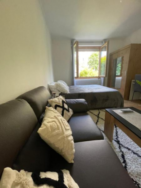 Chambre privée vue sur le jardin proche centre ville